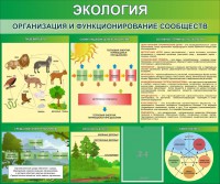 Стенд "Экология. Организация и функционирование сообществ" - fgospostavki.ru - Вологда