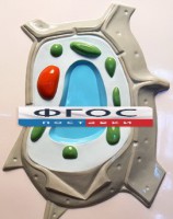 Модель барельефная "Растительная клетка" - fgospostavki.ru - Вологда