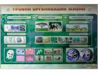 Электрифицированный стенд "Уровни организации жизни" - fgospostavki.ru - Вологда