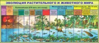 Стенд "Эволюция растительного и животного мира" - fgospostavki.ru - Вологда