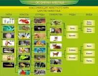 Стенд "Систематика животных" - fgospostavki.ru - Вологда