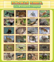 Стенд "Красная книга - млекопитающие" - fgospostavki.ru - Вологда
