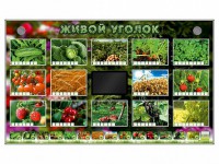 Комплект оборудования "Живой уголок" (растения) - fgospostavki.ru - Вологда