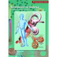 Интерактивные плакаты. Биология человека. Программно-методический комплекс - fgospostavki.ru - Вологда