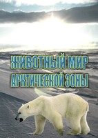 DVD "Животный мир Арктической зоны" - fgospostavki.ru - Вологда