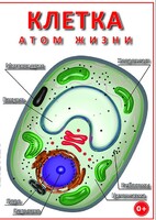 DVD "Клетка - "атом жизни" - fgospostavki.ru - Вологда