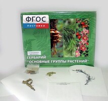 Гербарий "Основные группы растений" (52 листа) - fgospostavki.ru - Вологда
