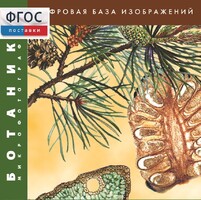Ботаника. Микрофотографии. (Цифровая база изображений) - fgospostavki.ru - Вологда