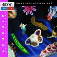 Биология. Микрофотографии. (Цифровая база изображений) - fgospostavki.ru - Вологда