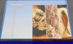 Коллекция "Палеонтологическая" (16 образцов) - fgospostavki.ru - Вологда