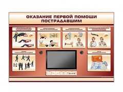 Многофункциональный интерактивный стенд-тренажер "Оказание первой помощи пострадавшим" для учащихся общеобразовательных учреждений - fgospostavki.ru - Вологда