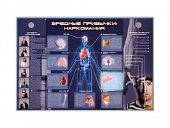 Электрифицированный стенд "Вредные привычки: наркомания" - fgospostavki.ru - Вологда