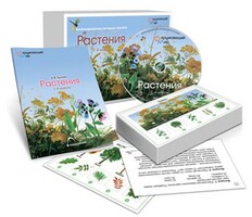 Комбинированное наглядное пособие «Растения» - fgospostavki.ru - Вологда