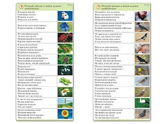 Комплект карточек (10) "Обучающий калейдоскоп. Природа" - fgospostavki.ru - Вологда