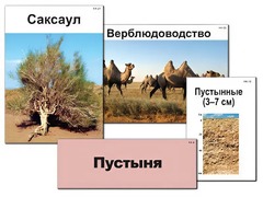 Модель-аппликация "Природные зоны России" (ламинированная) - fgospostavki.ru - Вологда