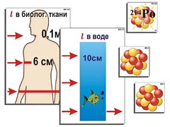 Модель-аппликация "Явление радиоактивности" (ламинированная) - fgospostavki.ru - Вологда