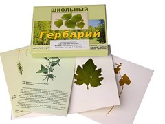 Гербарий "Систематика растений. Высшие споровые и семенные" (раздаточный) - fgospostavki.ru - Вологда