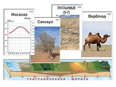 Модель-аппликация "Природные зоны" - fgospostavki.ru - Вологда