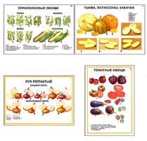 Плакаты ПРОФТЕХ "Ассортимент овощных культур" (12 пл, винил, 70х100) - fgospostavki.ru - Вологда