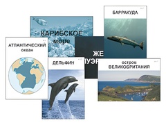 Модель-аппликация "Океаны. Знакомство" (ламинированная) - fgospostavki.ru - Вологда