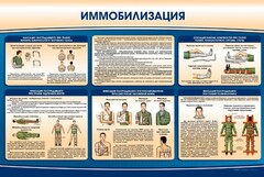 Стенд "Иммобилизация" - fgospostavki.ru - Вологда