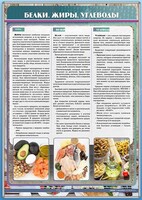 Стенд "Белки. Жиры. Углеводы" - fgospostavki.ru - Вологда