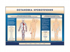 Электрифицированный стенд-тренажер "Остановка кровотечения" - fgospostavki.ru - Вологда