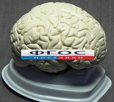 Модель "Мозг в разрезе" (белый) - fgospostavki.ru - Вологда