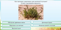 Интерактивные курсы. Окружающий мир 3 класс . Базовый. - fgospostavki.ru - Вологда