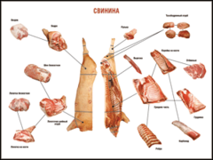 Таблица "Правила разделки мясных туш. Свинина" (100х140 сантиметров. винил) - fgospostavki.ru - Вологда