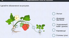 Интерактивные курсы. Биология 7 класс. Расширенный. - fgospostavki.ru - Вологда