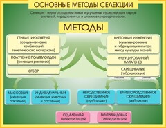 Стенд "Методы селекции и биотехнологии" - fgospostavki.ru - Вологда