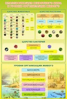 Стенд "Классификация животного мира" - fgospostavki.ru - Вологда