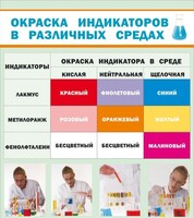 Стенд "Окраска индикаторов в различных средах" - fgospostavki.ru - Вологда