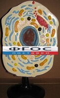 Модель "Клетка животного" - fgospostavki.ru - Вологда