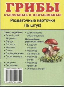 Раздаточные карточки "Грибы съедобные и не съедобные" - fgospostavki.ru - Вологда
