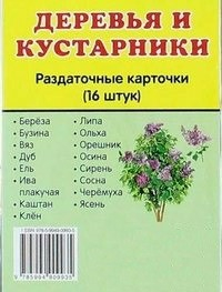 Раздаточные карточки "Деревья и кустарники" - fgospostavki.ru - Вологда