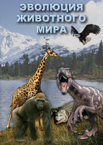 DVD "Эволюция животного мира" - fgospostavki.ru - Вологда