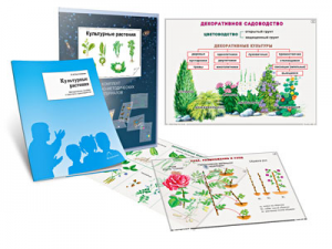 Комплект кодотранспарантов "Культурные растения" - fgospostavki.ru - Вологда