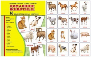 Демонстрационные карточки "Домашние животные" - fgospostavki.ru - Вологда