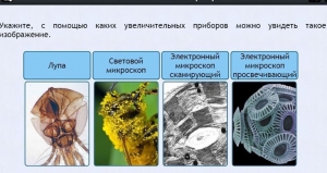 Интерактивные курсы. Биология 5 класс. Расширенный - fgospostavki.ru - Вологда