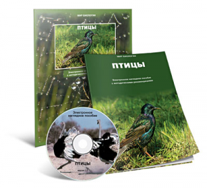 Электронное наглядное пособие «Птицы» - fgospostavki.ru - Вологда