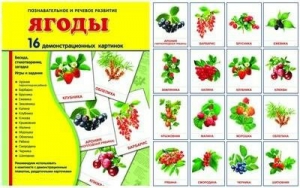 Демонстрационные карточки "Ягоды" - fgospostavki.ru - Вологда