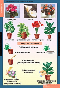 Комплект таблиц. Окружающий мир 1 класс. - fgospostavki.ru - Вологда