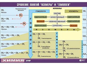 Таблица демонстрационная "Сравнение понятий изомер и гомолог" (винил 100x140) - fgospostavki.ru - Вологда
