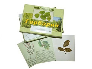 Гербарий "Дикорастущие растения" (30 видов, с иллюстрациями) - fgospostavki.ru - Вологда
