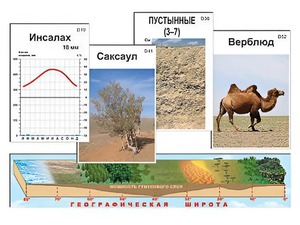 Модель-аппликация "Природные зоны" - fgospostavki.ru - Вологда