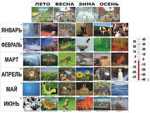 Фенологические наблюдения - fgospostavki.ru - Вологда