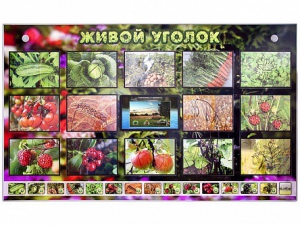 Комплект оборудования "Живой уголок" (растения) с тифлопереводом и сурдокомментариями - fgospostavki.ru - Вологда