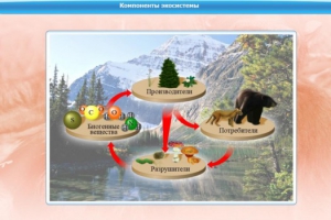 Интерактивные курсы. Биология 7 класс. Базовый. - fgospostavki.ru - Вологда